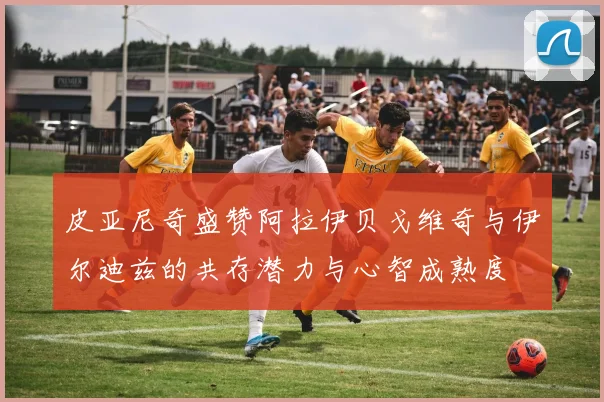 皮亚尼奇盛赞阿拉伊贝戈维奇与伊尔迪兹的共存潜力与心智成熟度