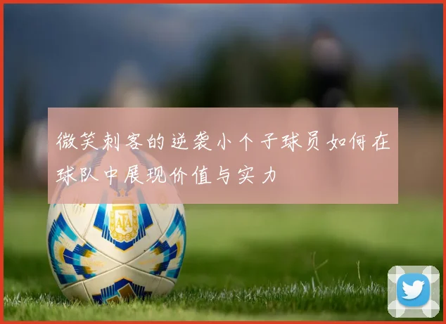 微笑刺客的逆袭小个子球员如何在球队中展现价值与实力
